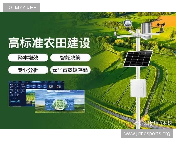 英博体育引领数字化时代的体育产业革新与全球市场布局