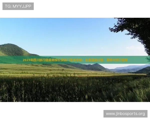 探索金沙官网最新动态与精彩活动全面指南
